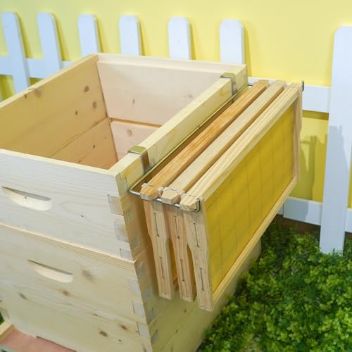 witbee 2Pcs Bee Hive Frame Holder, Stainless Steel Frame Grip Tool Beehive Frame Perch for Honey Harvesting and Inspection Beekeeping by witbee - Used condition - Image 3
