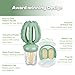 Haakaa Octopus Baby Fruit Food Feeder & Mini Freezer Nibble Tray Combo, Breastmilk Popsicle Molds for Cooling Relief, BPA Free Silicone Feeder for Safe Infant Self Feeding, 4 Month+(Pea Green)