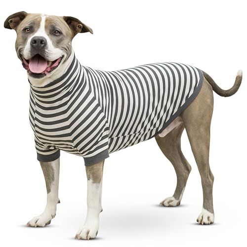 Tooth & Honey Striped Dog Shirt with Full Underbelly Coverage (X-Large)
