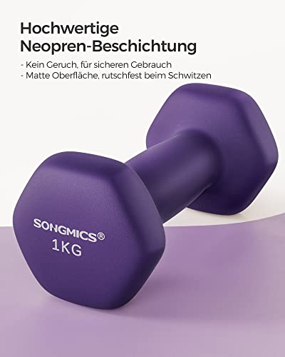 SONGMICS Kurzhanteln Set 2 Stück 2x1 kg Hanteln Hexagon Kurzhanteln mit Neoprenüberzug für Krafttraining Fitness Zuhause (Aschviolett) SYL902P02