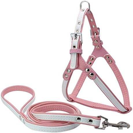 Dogs Kingdom Soft Leather Padded Dog Harness and Leash Set Personalized Puppy Dogs Harness and Leash White One Size
