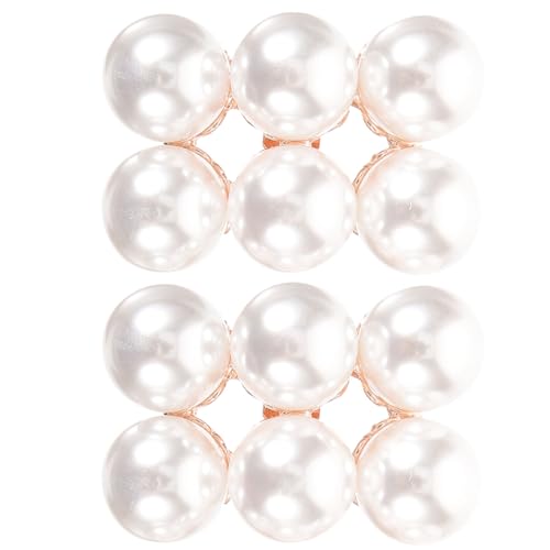 [Lurrose] p[V[`[ V[Nbv O\ EFfBOpvXpANZT[ nCq[ T_̌C ʂ