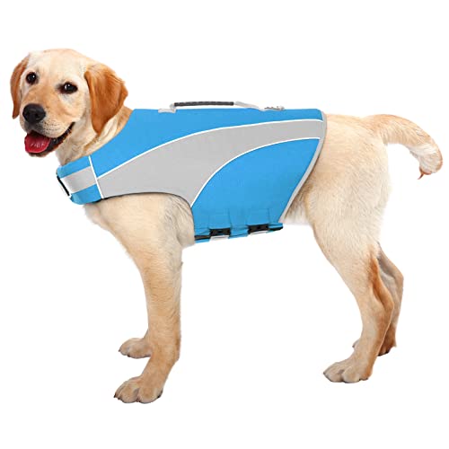 List of Ten Best Dog Life Jackets [Experts 2023 Reviews]