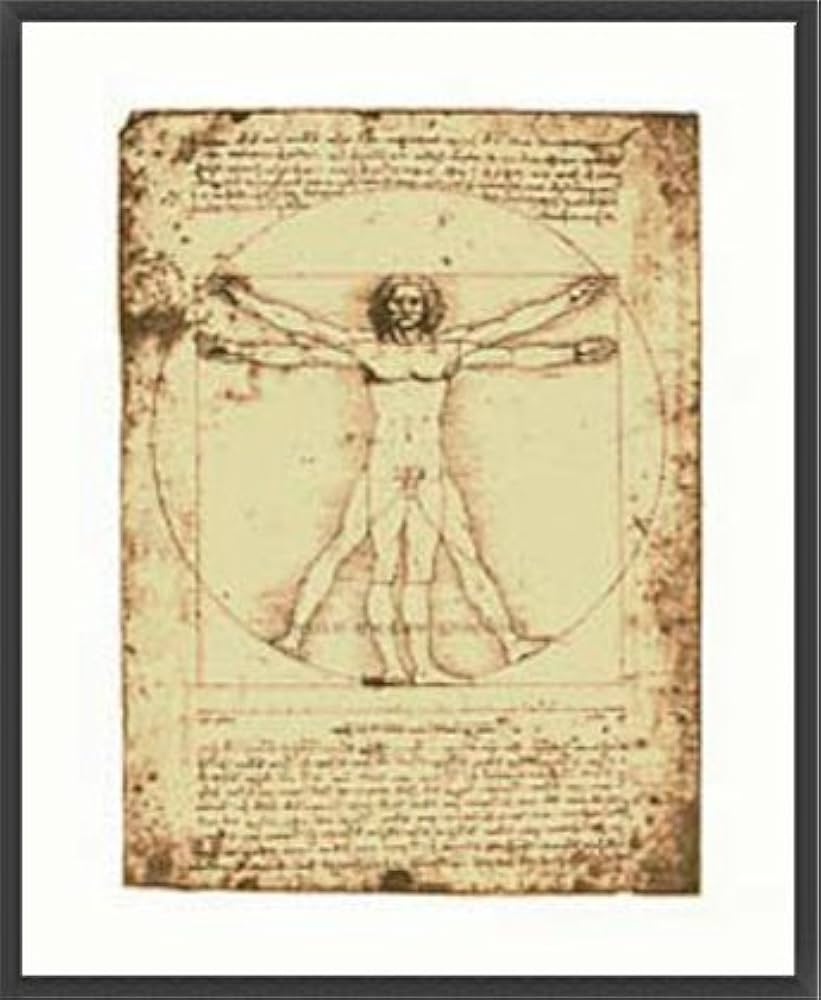 Amazon.co.jp: ポスター レオナルド ダ ヴィンチ ウィトルウィウス的