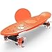 DYKJK Haute qualité Fish Skateboard Flash Roues Mini Cruiser Scooter Penny Penny Board Pastel Longboard Garçons Filles Banana Skate pour Enfants, garçons, Filles et Adolescents