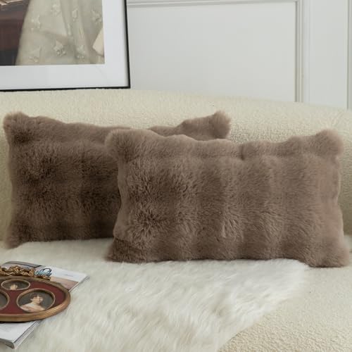 Mandioo Lot de 2 Housses de Coussin Décoratives en Laine Épaisse et Doudou Super Douces Vague Bulle Fourrure Veloutée Taies pour Canapé Lit Salon 30x50 cm...