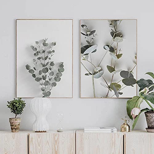 Affiches eucalyptus botaniques pour décorer un couloir ou un salon lumineux