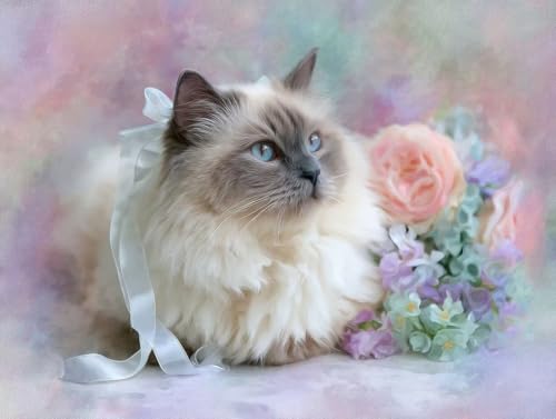 DIY  Lbg l q SҌ G L ANG̋Zbgt 60x80cm hG XgX  v[g Mtg - |pIȑ̌ŊyށAiȃLoXƑN₩ȐFʁAW̓AbvAbNXʁAC