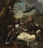 Taille Par DéFaut: (58x90cm) XcBAIHOUD Célèbre Art Mural Oeuvre Dimpression un pigeon paon canards et autres oiseaux dans un jardin par Melchior De Hondecoeter Imprimer Affiche Pour la Décoration de Bureau 60x90cm