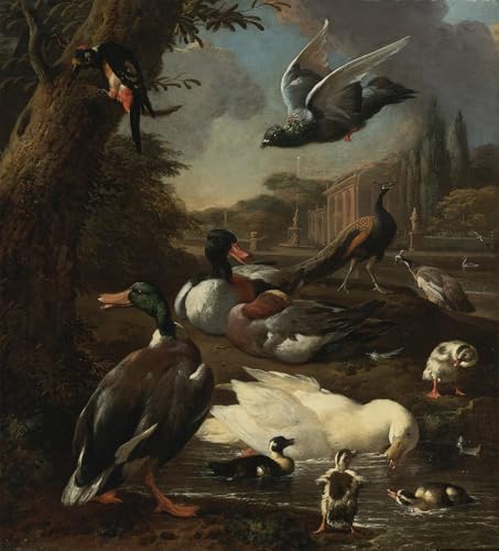 Peinture un pigeon paon canards grand format HD toile decorative pour grand mur