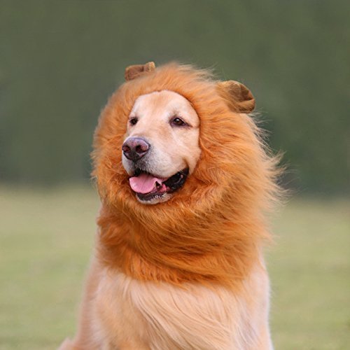 Vivifying Lion Mane For Dog, Adjustable Halloween Dog Lion Costume Wig With Ears For Medium And Large Dog Dress Up (Brown) #TOP1