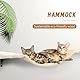 Katzen kletterwand XXL Set mit Katzentreppe Wand, Katzenbaum Hängematte,Katzenbrücke,Kratzbrett und Kratzbaum,Katzenwandmöbel Set - 6 Teiliges Katzen Wandelemente für Katzen Catwalk (Hellgrau)
