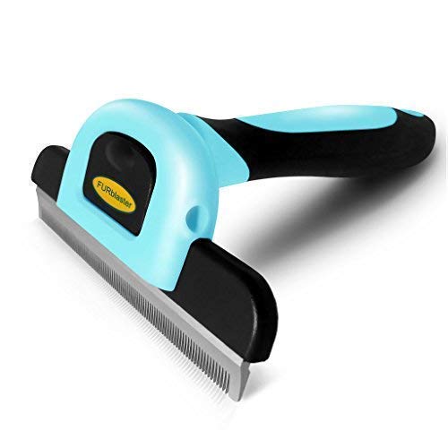 Deshedding a Dog 7 Most Effective Methods and 7 Best Tools to Use