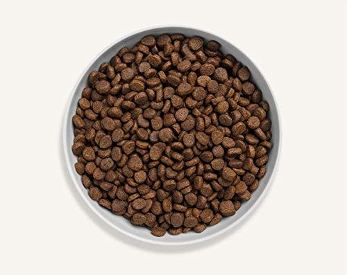 Canagan Country Game für Katzen 4 kg