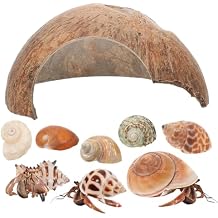 POPETPOP 1Set Coconut Shell Crab Hideout with Crab Shells Natural Aesthetic Turtle Rest Hut for Fish Tanks Reptile Habitats Durable Coconut Shell Shelter
