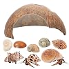 POPETPOP 1Set Coconut Shell Crab Hideout with Crab Shells Natural Aesthetic Turtle Rest Hut for Fish Tanks Reptile Habitats Durable Coconut Shell Shelter