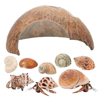 POPETPOP 1Set Coconut Shell Crab Hideout with Crab Shells Natural Aesthetic Turtle Rest Hut for Fish Tanks Reptile Habitats Durable Coconut Shell Shelter