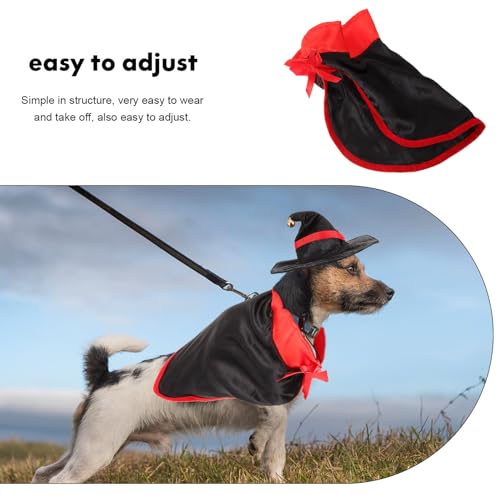 Disfraz Halloween para Perros con Alas de Murciélago y Banda miniatura 7