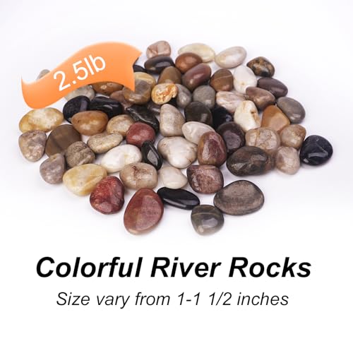 Image of Pulovin 2.5 Pound Decorative Stones, 1-1 1 /2 inch, River Rocks for Plants Indoor Drainage, Small Polished Natural Pebbles for Crafts, Vases, Garden and DIY Decor