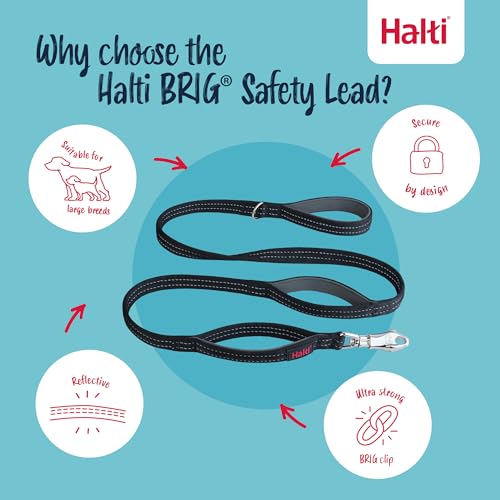 Image of Halti BRIG Safety Dog Leash | Black, 1.5m Length