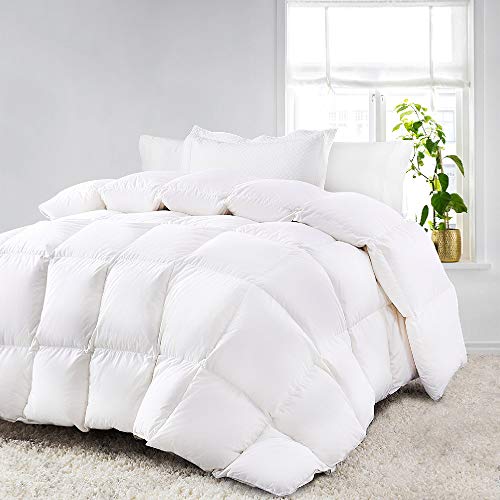 800GSM Ultra Warm Winter Microfibre Quilt/Doona/Duvet (Queen)