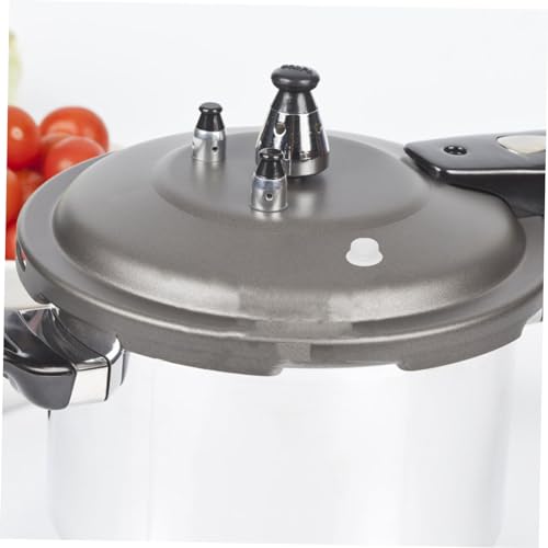 PRETYZOOM 10 piezas de válvulas y juntas de silicona para ollas a presión, repuestos para ollas a presión y esterilizadores, diseño resistente al calor miniatura 4