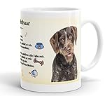 Merchandise for Fans