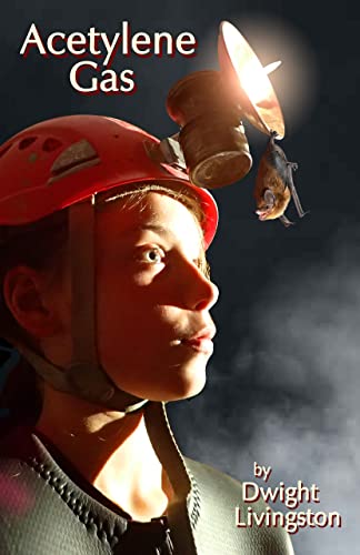 Acetylene Gas (English Edition)