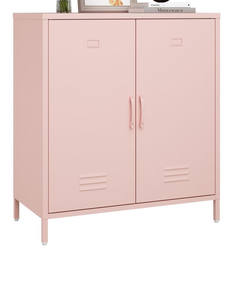Amazon.com: Steehoom Metal Storage Cabinet with 2 Door and Shelves