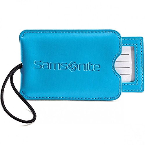 Samsonite Luggage 2 Pack Vinyl ID Tag, Pagoda Blue, One Size