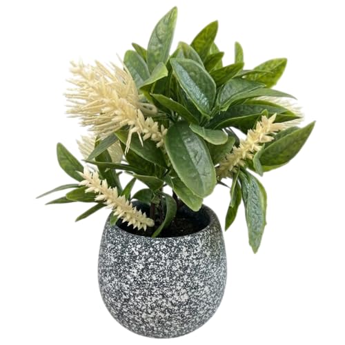 Image of Garden Art Artificial Protea Flower Arrangement Placed in a Small Decorative doted Pot. The Spiky, Cone-Shaped Bloom and Textured Petals are Typical of Protea Flowers (P-0235White)
