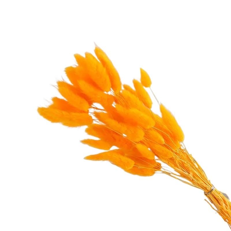 Pampas Grass Large 60pcs Dried Flower Bouquet Decoración miniatura 1