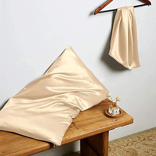 THXSILK Silk Pillowcase 22 Momme Pure Mulberry Silk Pillowcases with Hidden Zipper Soft Breathable Pillow Cover for Hair and Skin Standard, Champagne