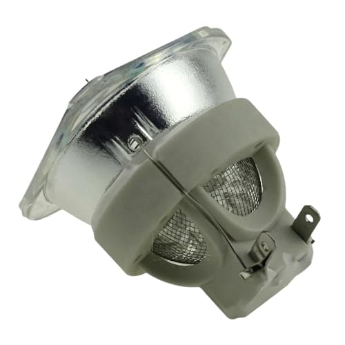 Pièce de rechange BL-FU310B compatible avec vidéoprojecteur Vivitek D967 et Optoma EH500