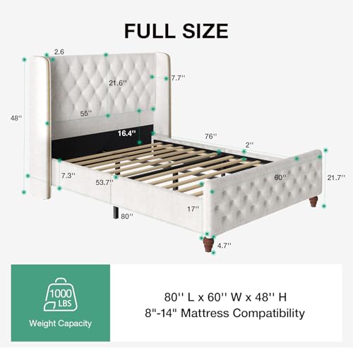 https://m.media-amazon.com/images/I/41tt23Typ-L.jpg