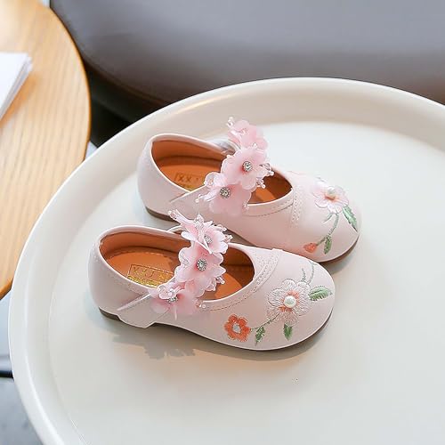 Girl Mary Jane Dance Shoes Ballet Sports Shoes Traditional Chinese Flower Embroidered Shoes Princess Skirt Flat Shoes3