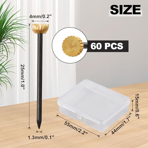 Image of SPEEDWOX 60 Pcs Picture Hangers Black Steel Nails and Brass Head Frame, Picture Hanging Nails for Hanging Picture Painting with Plastic Storage Box Holds Up to 5-30 lbs(Small)