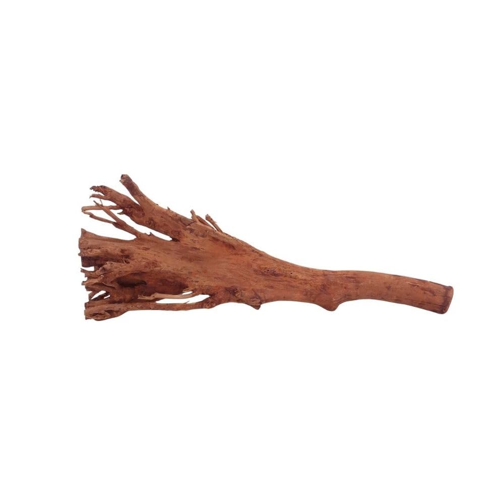 AquaOne Aquarium Wurzel M Jungle Wood Nr.4484 Aquarium Wurzel Holz Deko Aquascaping Dekoration Landschaft Moos Natur Echtholz