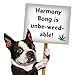 PAW:20 My Name is Harmony Bong, Funny Squeaky Weed Dog Toy, Cute Stuffed Parody Pot Bong, Cool Plush 420 Novelty Gift for Pets, Sized for Puppies & Small, Medium & Large Breeds, Fetch & a Photo Prop