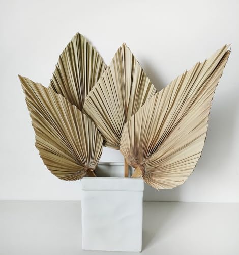 Hojas de palma secas grandes naturales, 4 abanicos de palma seca de diferentes formas, lanzas de palma secas de 45 cm, plantas reales, ramo de flores secas para decoración bohemia de oficina, hogar,