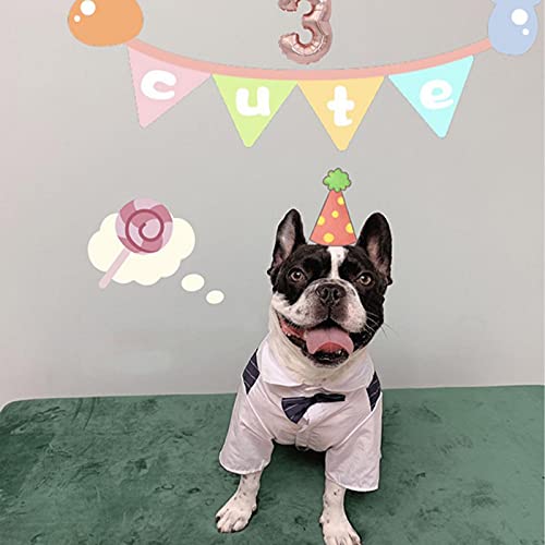 HACRAHO Smoking per cani da matrimonio, 1 pezzo