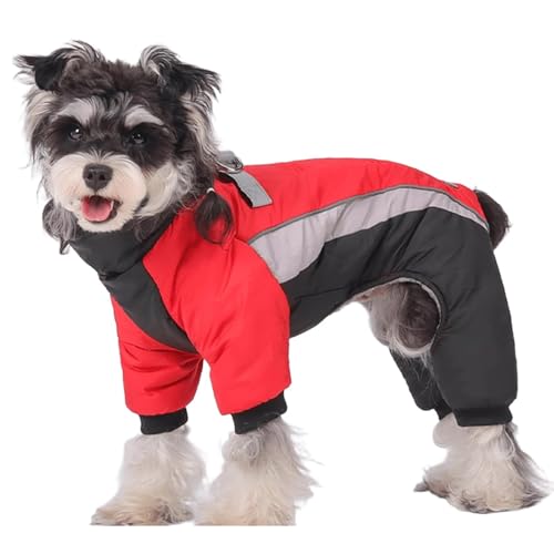 UOSIA q~R[g t@bV gt[X ^[glbN ˖h pXm[tOWPbg 4{rt  ߉\ȃybgWvX[c ^ph