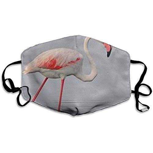 Preisvergleich Produktbild Mundmasken gemalt Giraffenmuster Unisex Anti-Staub waschbar Wiederverwendbare Mundmaske Modedesign für Mädchen Frauen Jungen Männer