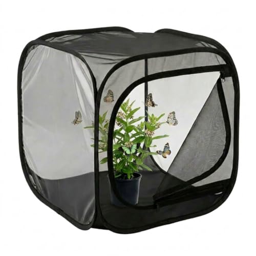KraAra Insect & Butterfly Habitat Cage, Portable Pop-Up Terrarium with Mesh Sides, Bug Catching & Observation Enclosure for Caterpillars, Small Insects, Outdoor & Classroom Use, 12 Inches Tall