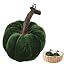 Vegetable
