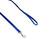 Dog Leash - Nylon - 4 Ft. Blue with a Width of 5/8 in.