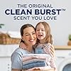 ARM & HAMMER Clean Burst, 105 Loads Liquid Laundry Detergent, 105 fl oz #2