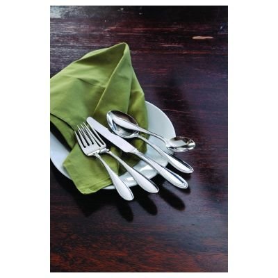 FROSTFIRE Oneida Community Stainless Silverware / Flatware