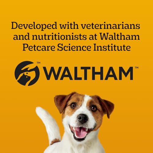 PEDIGREE DENTASTIX Oral Care Dual Flavour Bacon & Chicken Adult Dog Treats - for Large Breeds - Reduces Plaque and Tartar Buildup - 32 Sticks 670g Pouch image 3