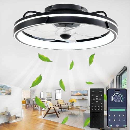 【Materiale di alta qualità】Il ventilatore a soffitto con luce adotta un nuovo tipo di sorgente luminosa della lente del LED e il paralume è realizzato in acrilico ad alta trasmittanza. Le lame curve dell'ABS possono ridurre efficacemente il rumore causato dalla resistenza，Il ventilatori da soffitto con luce è dotato di un motore a conversione di frequenza in rame puro per garantire che il lampada ventilatore da soffitto funzioni in modo regolare, silenzioso e sicuro